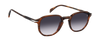 DB 1140/S - Brown Horn - Violet Shaded