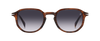 DB 1140/S - Brown Horn - Violet Shaded
