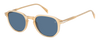 DB 1140/S - Champagne - Blue