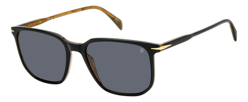 DB 1141/S - Black Striped Brown - Grey Polarized