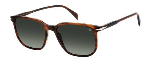 DB 1141/S - Brown Horn - Green Shaded Polarized