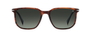 DB 1141/S - Brown Horn - Green Shaded Polarized