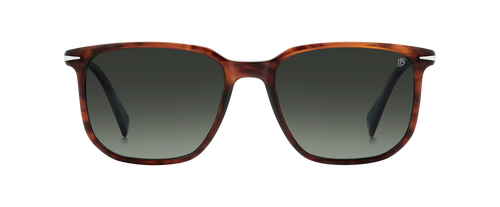 DB 1141/S - Brown Horn - Green Shaded Polarized