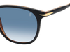 DB 1160/S - Black Striped Brown - Dk Blue Shaded