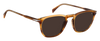 DB 1160/S - Brown Horn - Brown