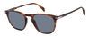 DB 1160/S - Brown Horn - Azure Photocromatic