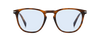 DB 1160/S - Brown Horn - Azure Photocromatic