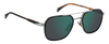 DB 1161/S - Marrone a righe nere - Specchio verde