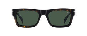 DB 7129/CS - Havana - Green Polarized