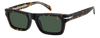DB 7129/CS - Avana - Verde Polarizzato