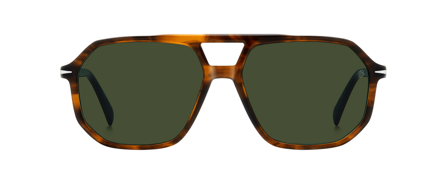 DB 1172/S - Brown Horn Ruthenium - Green