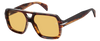 DB 7151/S - Brown Horn - Yellow
