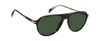 DB 1200/S - Havane - Antireflex vert clair