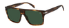 DB 7149/S - Marrone Avana - Verde