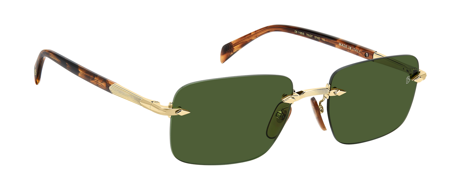 DB 1195/S - Gold Brown Horn - Green