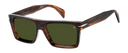 DB 7148/S - Brown Horn - Green