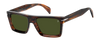 DB 7148/S - Brown Horn - Green