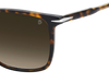 DB 1219/S - Havana - Brown Shaded