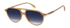 DB 1218/S - Ochre - Blue Shaded