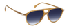 DB 1218/S - Ochre - Blue Shaded