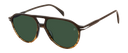 DB 1218/S - Brown Shaded Horn - Green