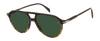 DB 1218/S - Brown Shaded Horn - Green