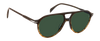 DB 1218/S - Brown Shaded Horn - Green