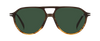 DB 1218/S - Brown Shaded Horn - Green