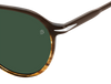 DB 1218/S - Brown Shaded Horn - Green