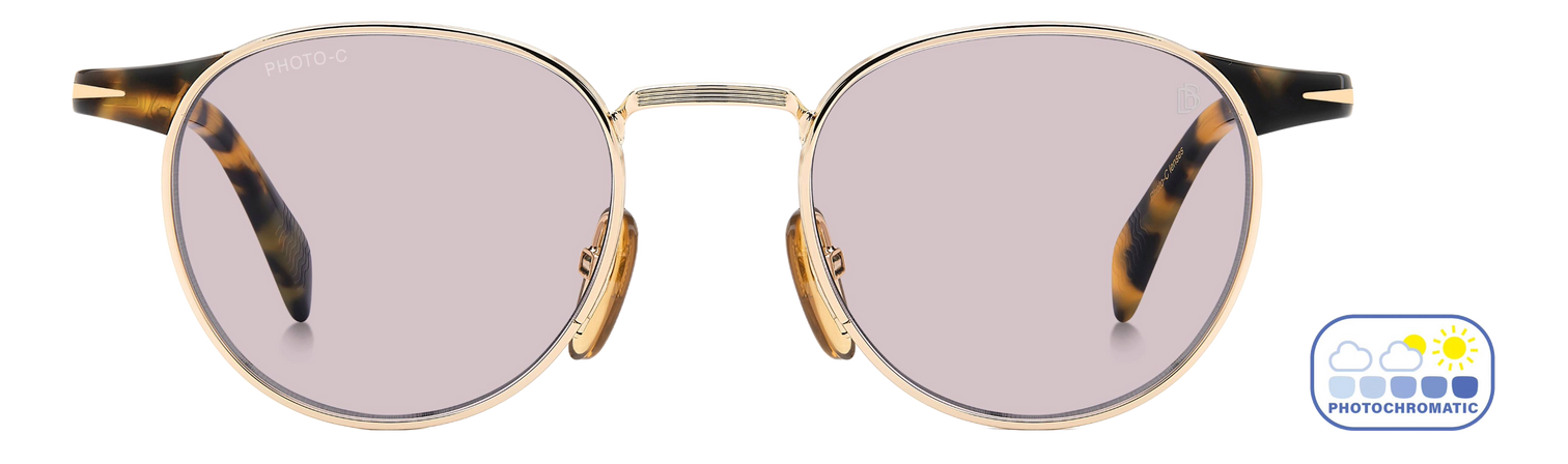 DB 1223/S - Gold Honey Havana