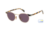 DB 1223/S - Gold Honey Havana