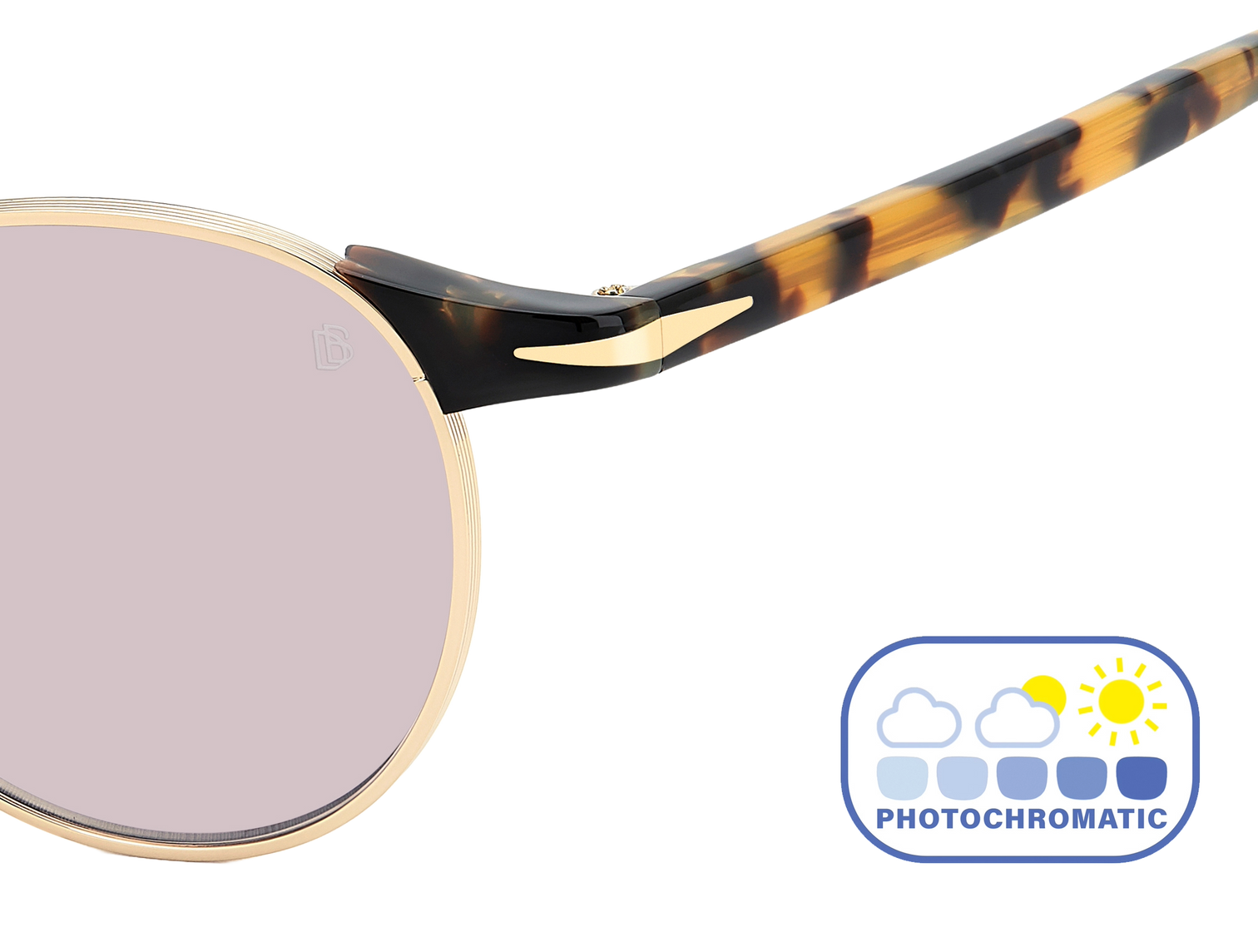 DB 1223/S - Gold Honey Havana