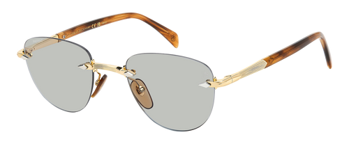 DB 1224/S - Gold Brown Horn - Greenphotochromatic Antireflex