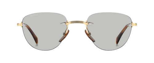 DB 1224/S - Gold Brown Horn - Greenphotochromatic Antireflex