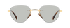 DB 1224/S - Gold Brown Horn - Greenphotochromatic Antireflex