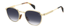 DB 1228/S - Gold Black 2 - Blue Shaded Antireflex