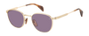 DB 1228/S - Gold Brown Horn - Violet Antireflex