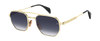 DB 1229/S - Gold Black 2 - Blue Shaded Antireflex
