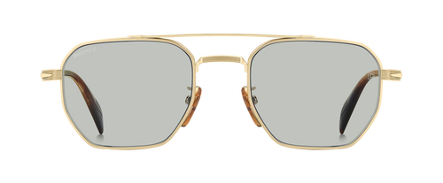 DB 1229/S - Gold Brown Horn - Greenphotochromatic Antireflex