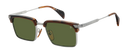 DB 1227/G/S - Brown Horn Silver - Green Antireflex