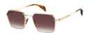 DB 1245/S - Gold Brown Horn - Violet Shaded Antireflex