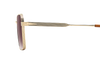 DB 1245/S - Gold Brown Horn - Violet Shaded Antireflex