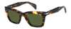 DB 99/MIAMI - Brown Yellow Havana - Green