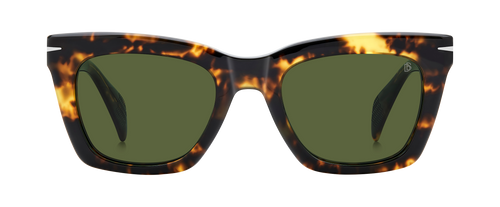 DB 99/MIAMI - Brown Yellow Havana - Green