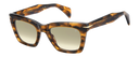DB 99/MIAMI/SE - Brown Horn - Green Shaded Photochromatic Antireflex