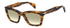 DB 99/MIAMI/SE - Brown Horn - Green Shaded Photochromatic Antireflex