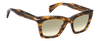 DB 99/MIAMI/SE - Brown Horn - Green Shaded Photochromatic Antireflex