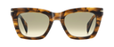 DB 99/MIAMI/SE - Brown Horn - Green Shaded Photochromatic Antireflex