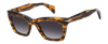 DB 99/MIAMI/SE - Brown Horn - Green Shaded Photochromatic Antireflex